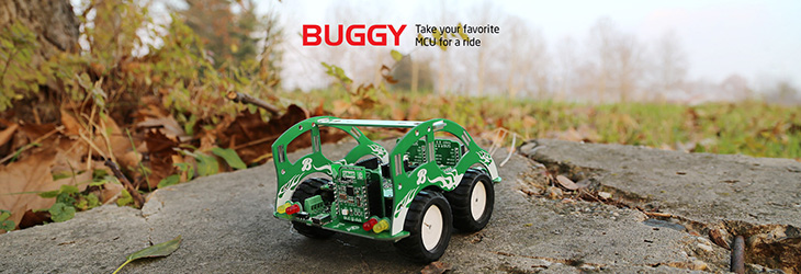 Development Boards Starter Boards Buggy what you get in the box
